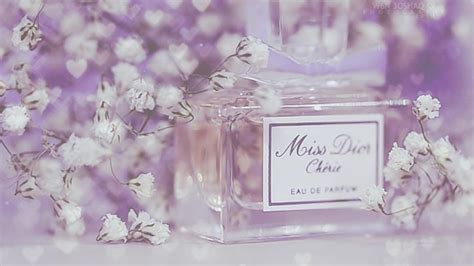 dior 壁紙|dior miss wallpapers.